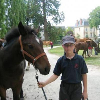 POULAINS