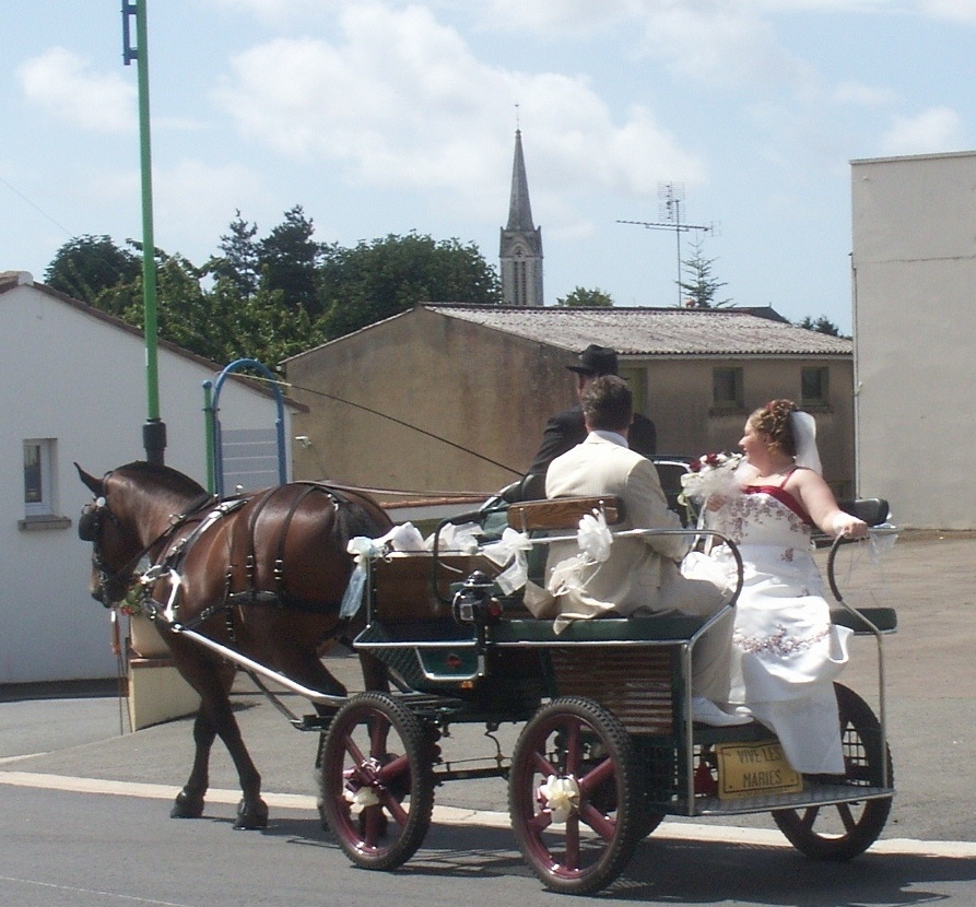 MARIAGE AIGUILLON SUR VIE 2011 070